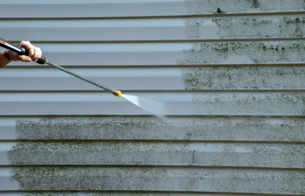Best Power Washing Near Me  in Charleston, MS